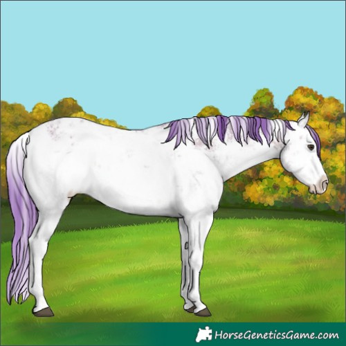 Horse Color:Watercolor White Spotted Liver Red Dun Ice Sabino 