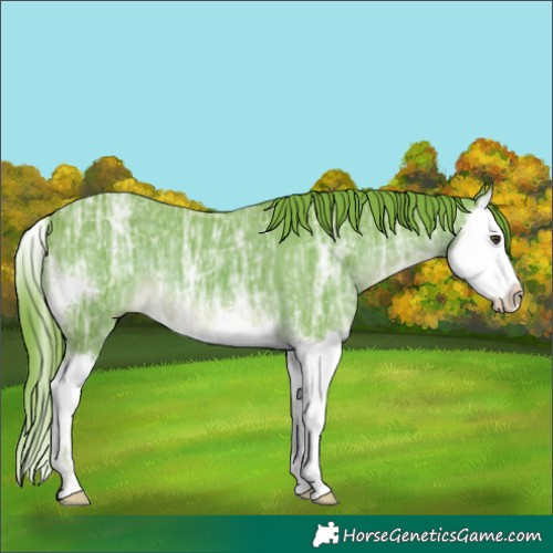 Horse Color:Watercolor Liver Chestnut Ice Sabino Splash 