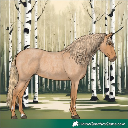 Horse Color:Red Roan 