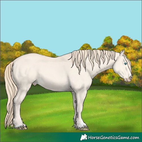 Horse Color:Perlino 