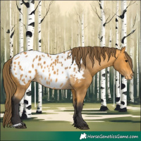 Horse Color:Buckskin Blanket 