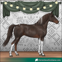 Horse Color:Liver Chestnut Tobiano