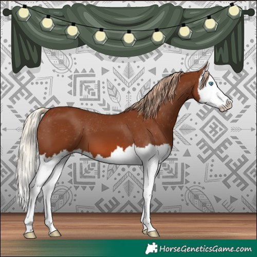 Horse Color:Chestnut Splash Varnish 