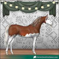 Horse Color:Chestnut Splash Varnish