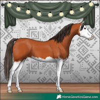 Horse Color:Bay Splash Varnish