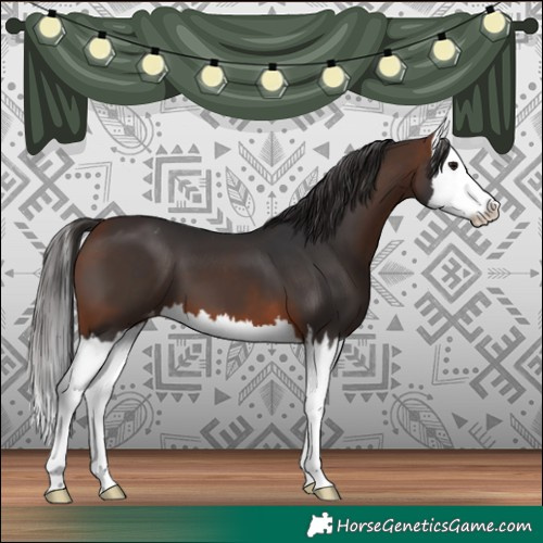 Horse Color:Bay Splash Blanket 