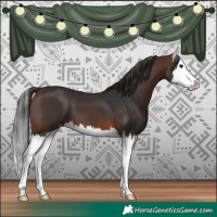 Horse Color:Bay Splash Blanket 