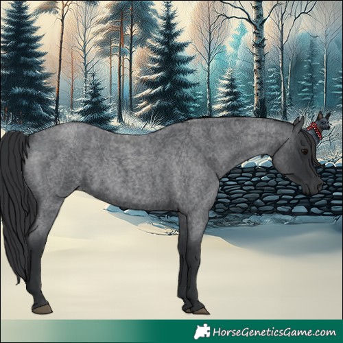 Horse Color:Blue Roan 