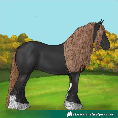 Horse Color:Liver Chestnut Tobiano 