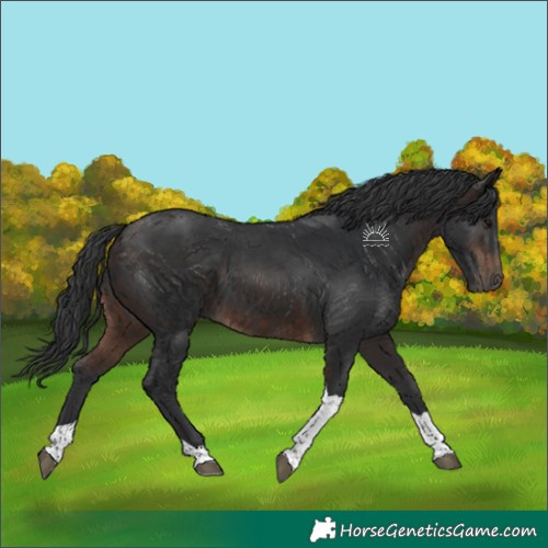 Horse Color:Brown Tobiano 