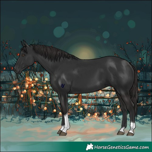 Horse Color:Liver Chestnut Tobiano 