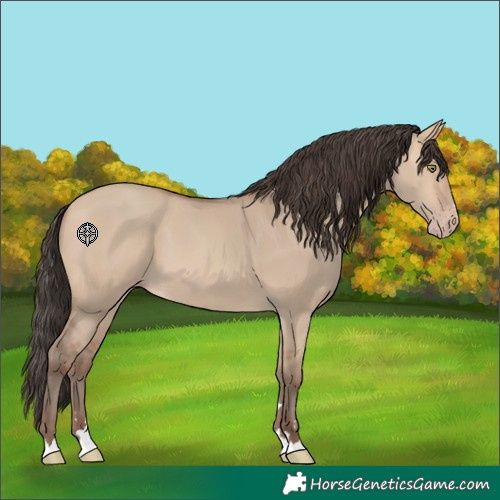 Horse Color:Amber Champagne Dun 