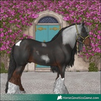 Horse Color:Liver Chestnut Tobiano 