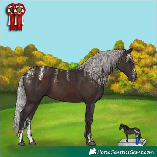 Horse Color:Powder White Silver Brown 
