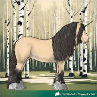 Horse Color:Buckskin 