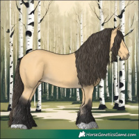Horse Color:Buckskin 
