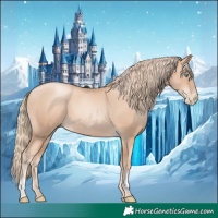 Horse Color:Gold Champagne Pearl Rabicano  and Gold Champagne Pearl 