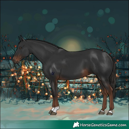 Horse Color:Liver Chestnut Tobiano 