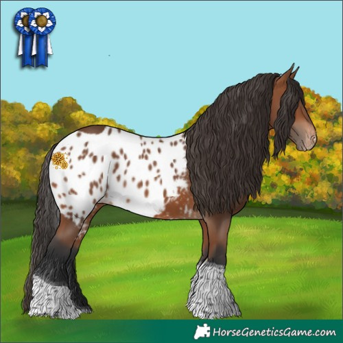 Horse Color:Bay Tobiano Skewed Appaloosa 
