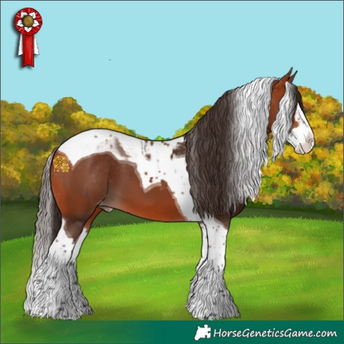 Horse Color:Bay Splash Tobiano Skewed Appaloosa 