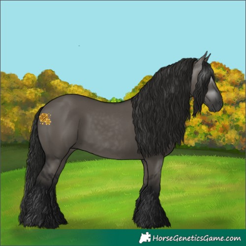 Horse Color:Gray Grullo