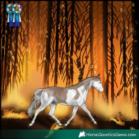 Horse Color:Silver Black Splash 