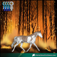 Horse Color:Silver Black Splash 