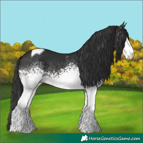 Horse Color:White Spotted Brown Tobiano 