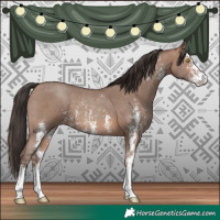 Horse Color:Sable Champagne Sabino 