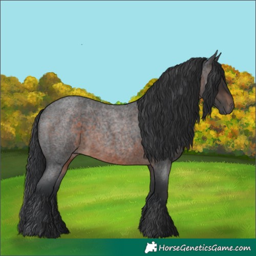 Horse Color:Brown Roan