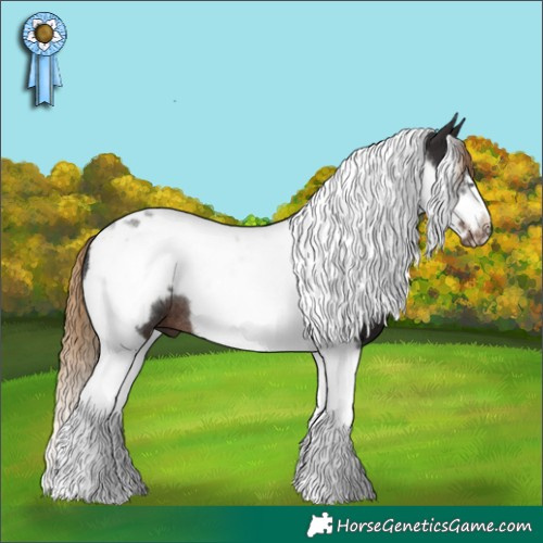 Horse Color:Liver Chestnut Tobiano Frame Rabicano