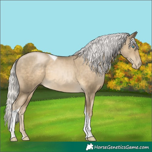 Horse Color:Silver Smoky Black Pearl Tobiano