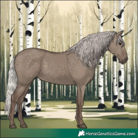 Horse Color:Silver Grullo