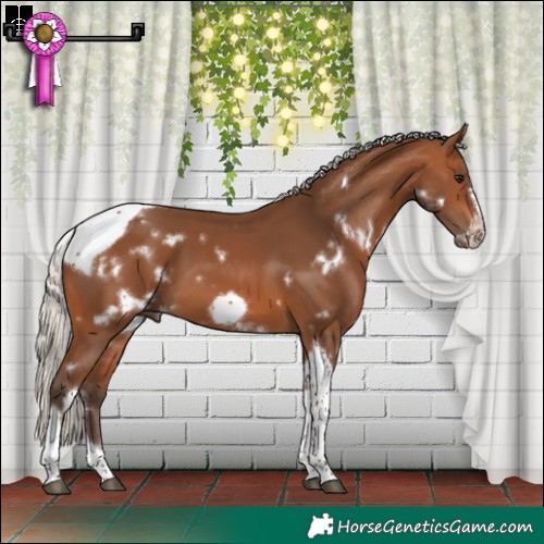 Horse Color:White Spotted Silver Brown Tobiano Frame 