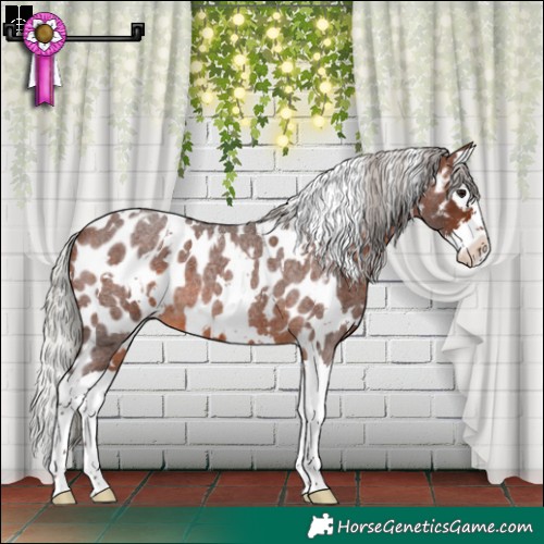 Horse Color:White Spotted Silver Brown Roan Splash Skewed LP Spotted
