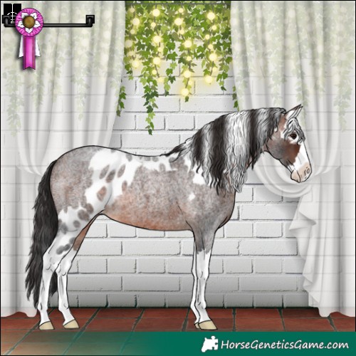 Horse Color:Brown Roan Splash Skewed LP Spotted 