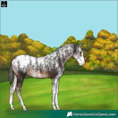 Horse Color:Powder White Liver Chestnut 