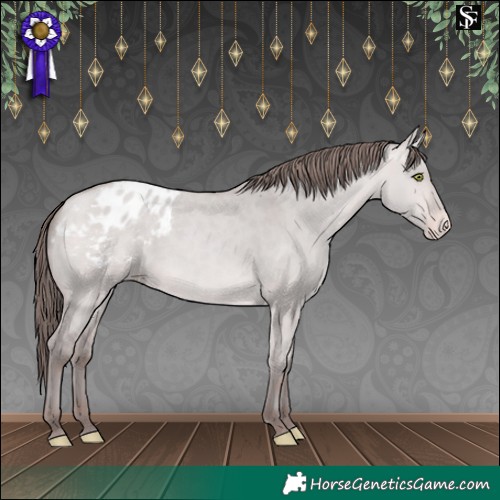 Horse Color:Platinum Amber Champagne Dun Appaloosa 