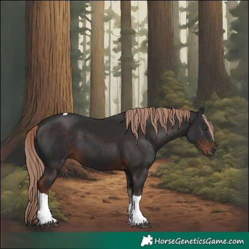 Horse Color:Liver Chestnut Tobiano 