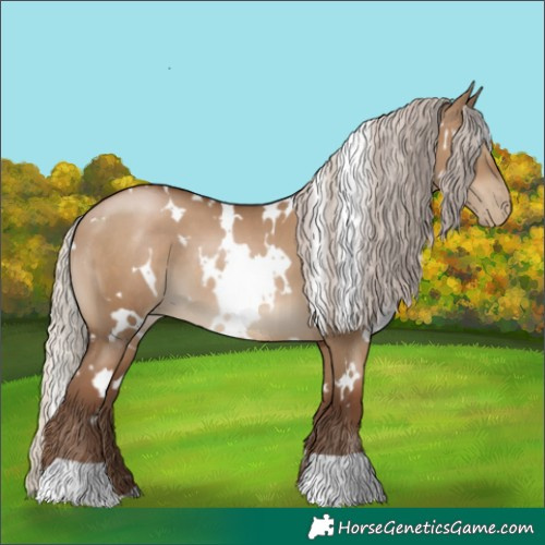 Horse Color:Gray White Spotted Silver Grullo Pearl 