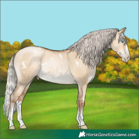 Horse Color:Gray White Spotted Silver Classic Champagne Pearl Dun Splash Rabicano 