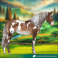 Horse Color:Gray White Spotted Silver Brown Pearl Rabicano
