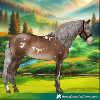 Horse Color:Gray White Spotted Silver Brown Pearl