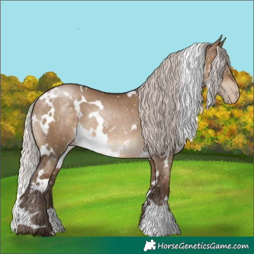 Horse Color:Gray White Spotted Silver Brown Pearl Dun Appaloosa 