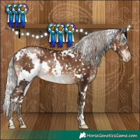 Horse Color:Gray White Spotted Silver Brown Pearl Appaloosa