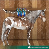 Horse Color:Gray White Spotted Silver Brown Pearl Appaloosa 