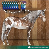 Horse Color:Gray White Spotted Silver Brown Pearl Snowflake Varnish 