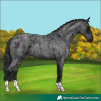 Horse Color:Midnight Blue Ice Roan 