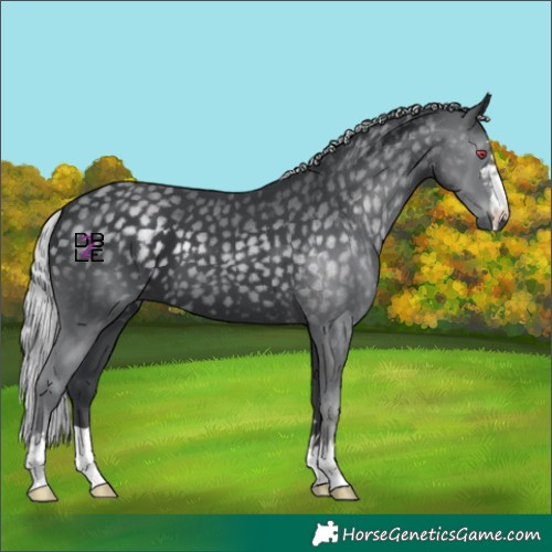 Horse Color:Silver Black Chinchilla