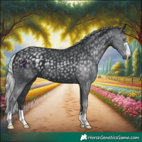 Horse Color:Silver Black Chinchilla